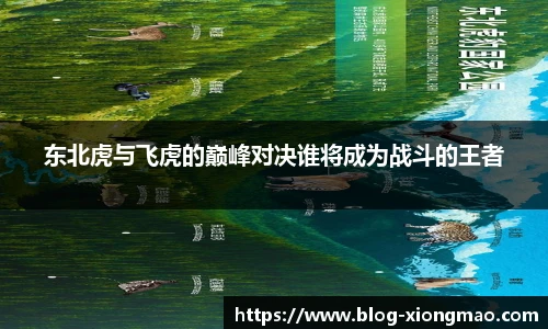 东北虎与飞虎的巅峰对决谁将成为战斗的王者