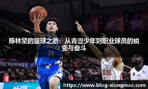 陈林坚的篮球之路：从青涩少年到职业球员的蜕变与奋斗